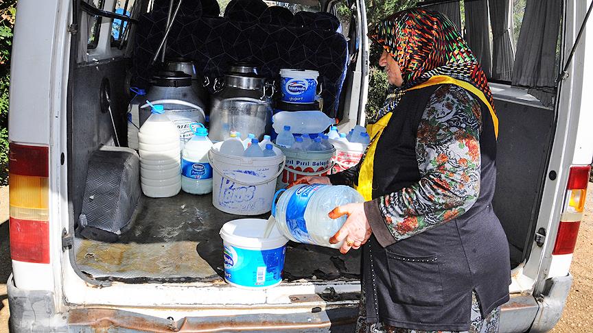 65 yaşındaki Hediye nine minibüs sürüp süt dağıtıyor