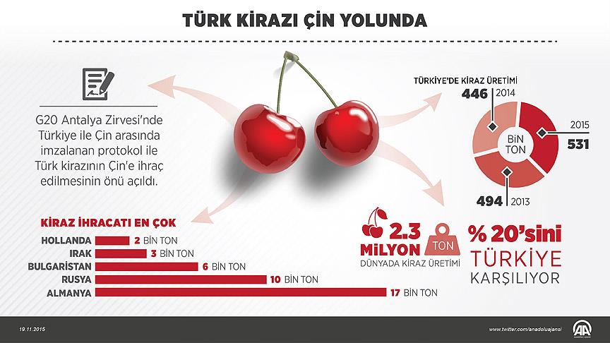 Çinliler Türk kirazını 2016'da yiyecek