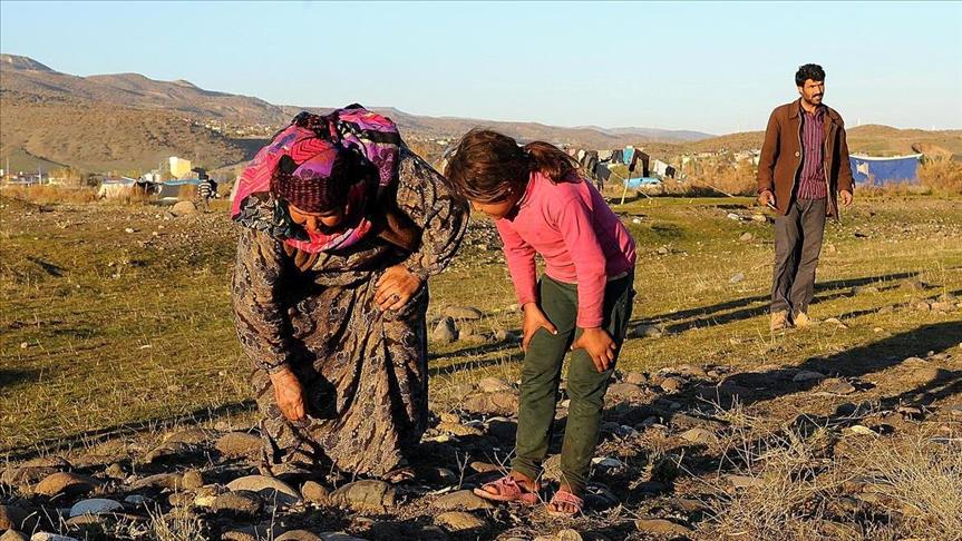 Syrian refugees join meteorite search in eastern Turkey