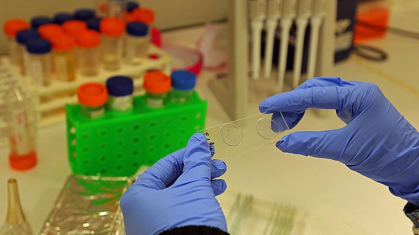 هيئة الغذاء والدواء الأمريكية تعتمد عقارًا جديدًا لعلاج سرطان الكلى