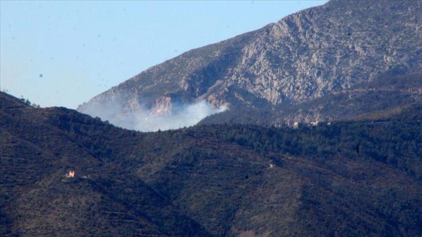 Turkmen forces wrest town in N. Syria from regime control