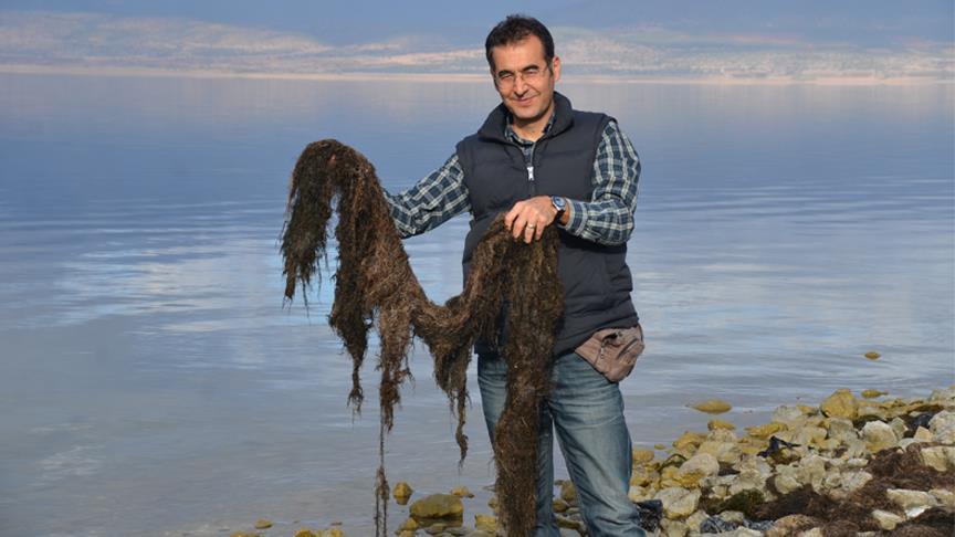 'Ördek otu, Burdur Gölü'ndeki faunayı olumlu etkiliyor'