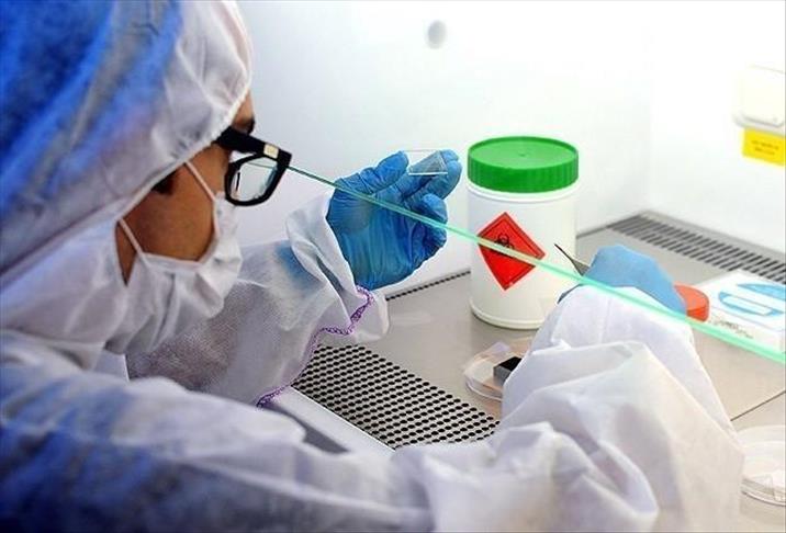 Un simple test sanguin peut prévoir l’arthrite