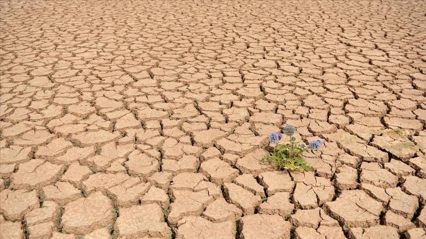Ethiopia: Appeal for $1.4 billion in drought aid