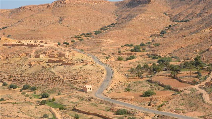 تونس..اكتشاف آثار لأقدام ديناصورات تعود إلى 140 مليون سنة