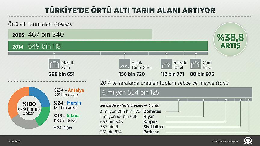 Türkiye'de örtü altı tarım alanı artıyor