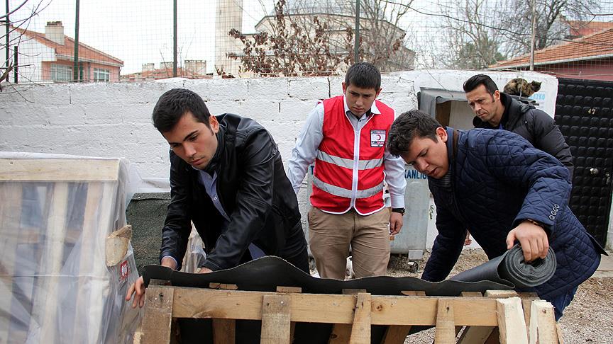 'Minik patileri üşümesin' diye kulübe yaptılar