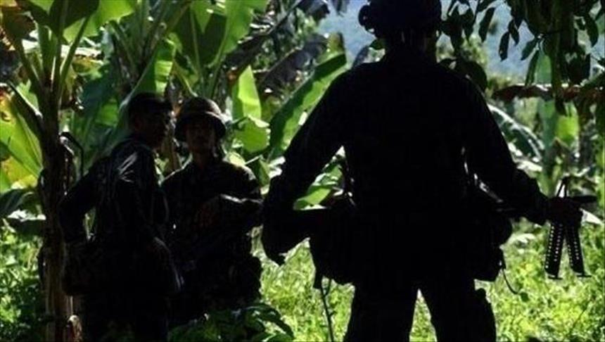 Philippine army says 133 Abu Sayyaf killed in 2015