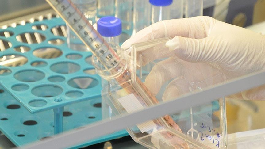 Canadian scientists warn of new superbug bacteria