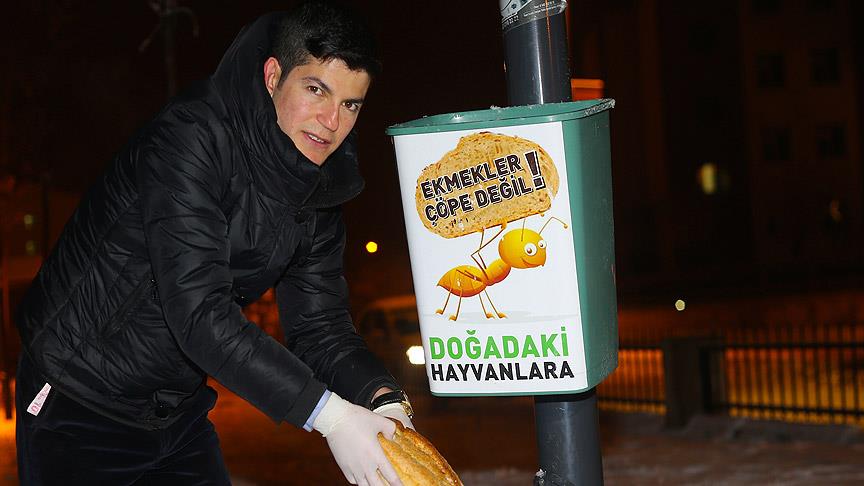 Yaban hayatı için bayat ekmekleri topluyor