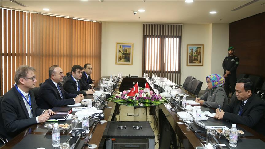 وزیر امور خارجه ترکیه با همتایان یمنی، اندونزیایی و مالدوی خود دیدار کرد