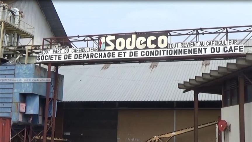 Le café burundais immunisé contre les crises