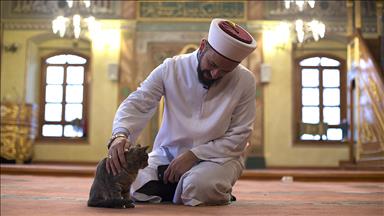 Kedi dostu imam dünya kamuoyunun takdirini topladı