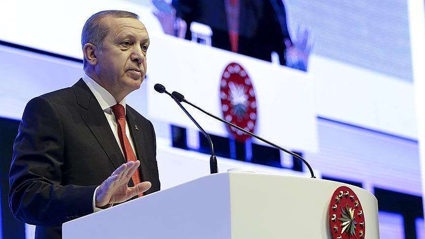 YPG has western countries' weapons: Turkish president