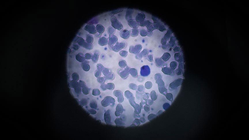 Çin'de Zika virüsü vakasına rastlandı