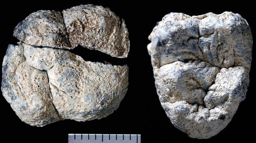 New Ethiopian fossil may shed light on human ancestry