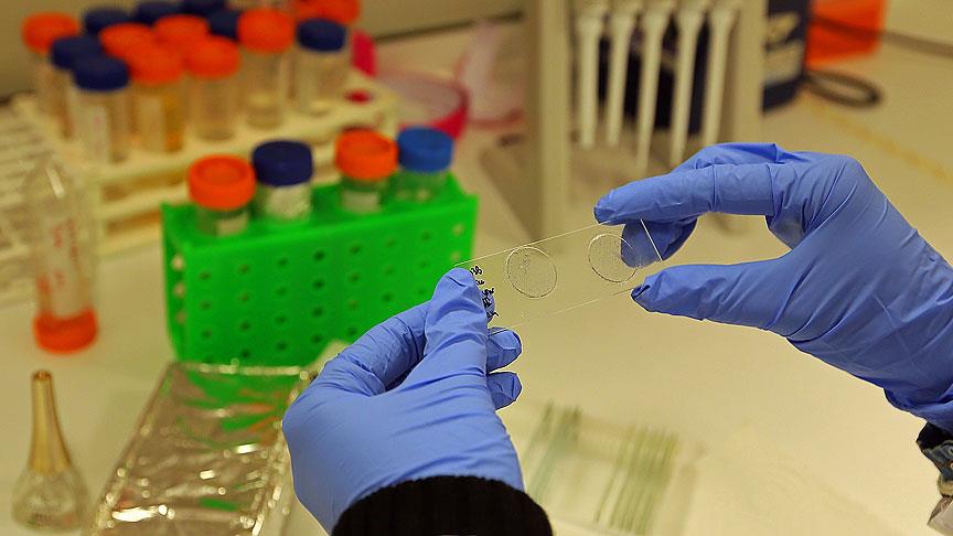 'Zika aşısının geliştirilmesi 18 ayı alabilir'