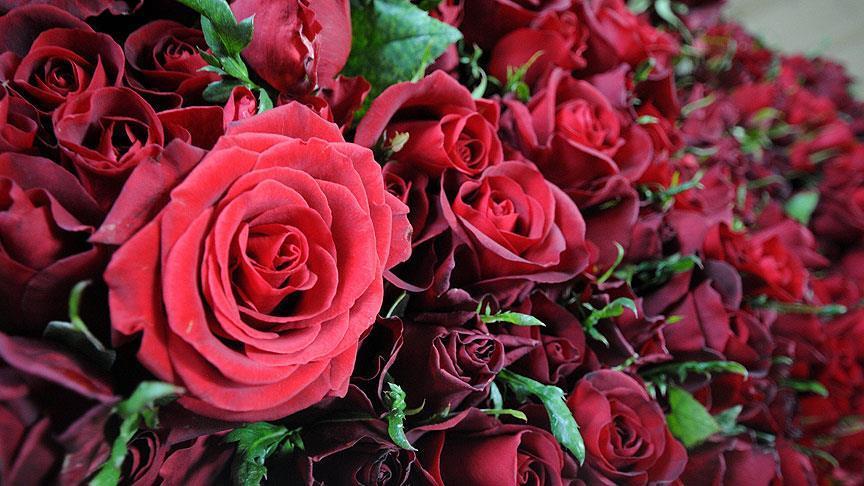 US to spend $20 billion for Valentine's Day