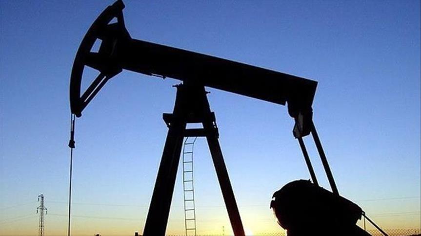 Kazakhstan seeks Turkish investment amid oil slump