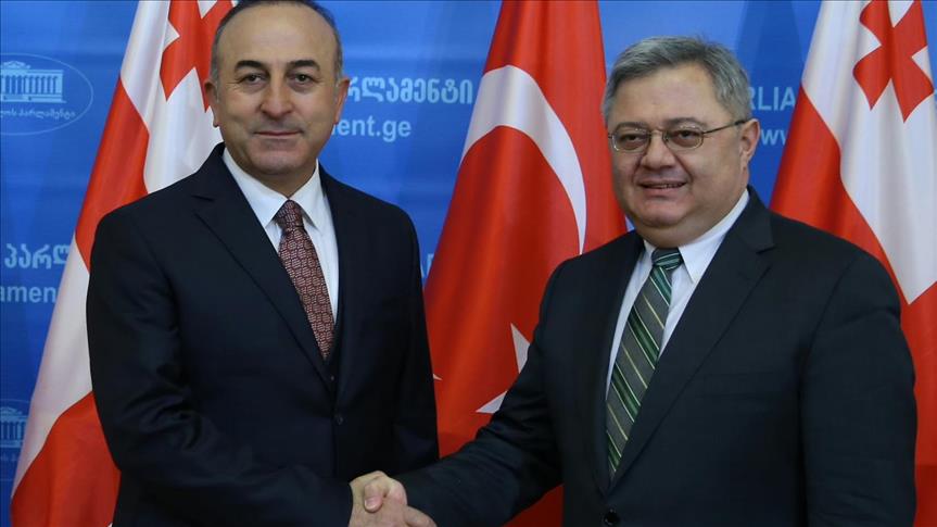 دیدار وزیر امور خارجه ترکیه با رئیس مجلس گرجستان در تفلیس