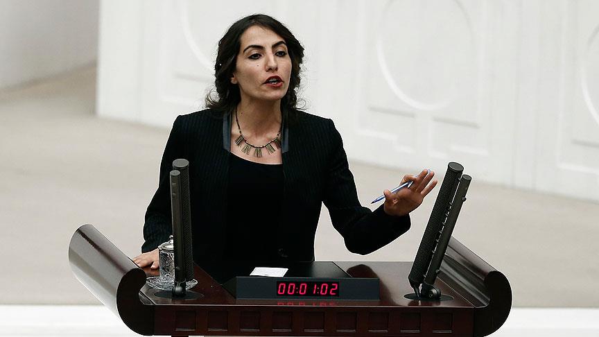 HDP Van Milletvekili Hezer hakkında iki ayrı soruşturma açıldı