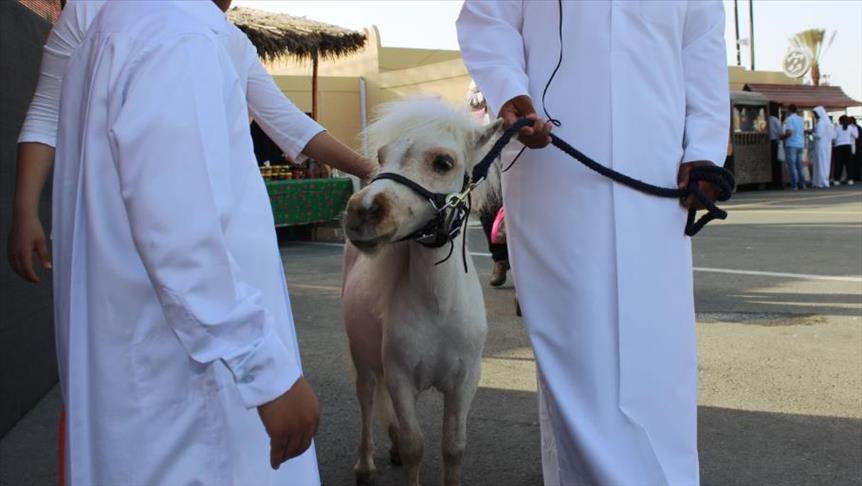 استعراض "أجمل الحيوانات" في مهرجان بقطر