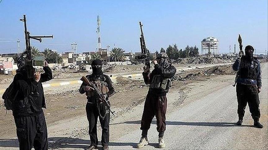 Daesh withdraws from 2 towns in Syria’s Raqqah