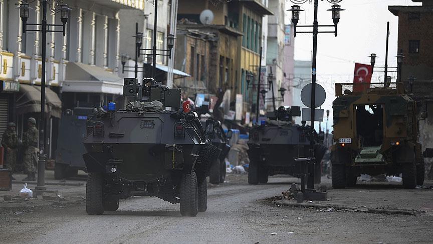 Five PKK terrorists killed in southeast Turkey operation 