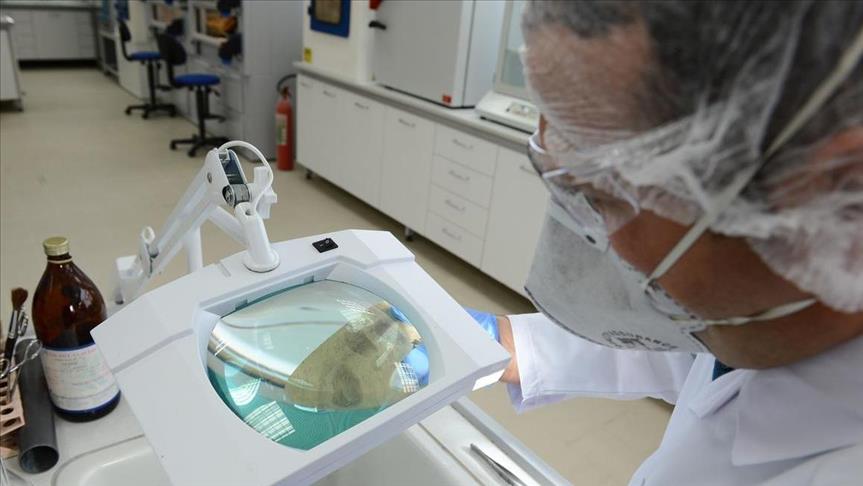 UK scientists hail ‘ground-breaking’ cancer treatment