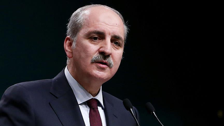 Turkey rejects plan to partition Syria: Deputy PM