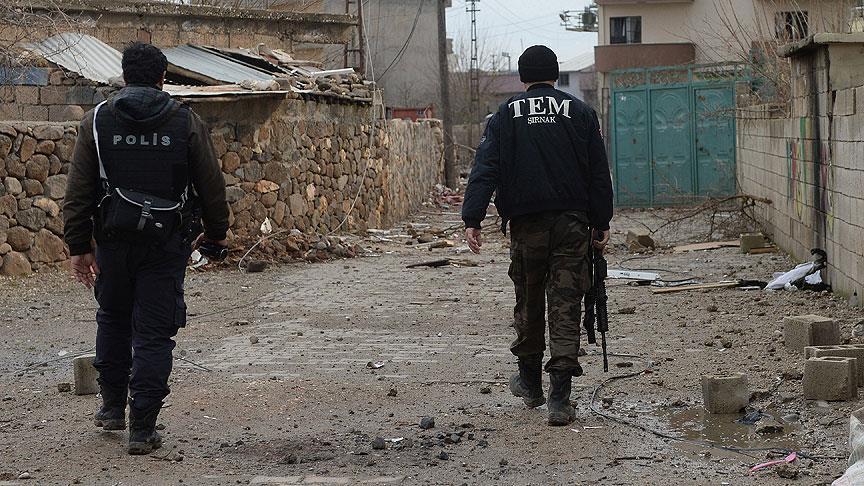 Anti-terror operation ends in Idil, southeast Turkey