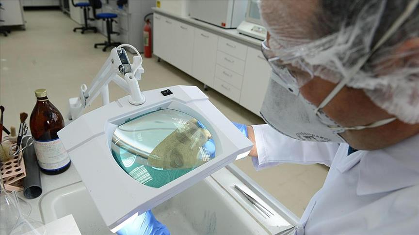US researchers use stem cells to grow new eye tissue