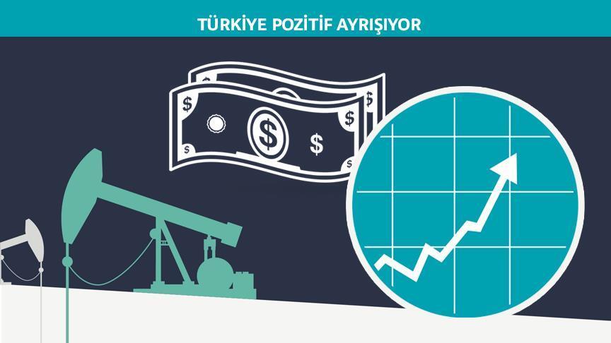 La Turquie a réalisé des performances qui la distinguent des économies en développement 