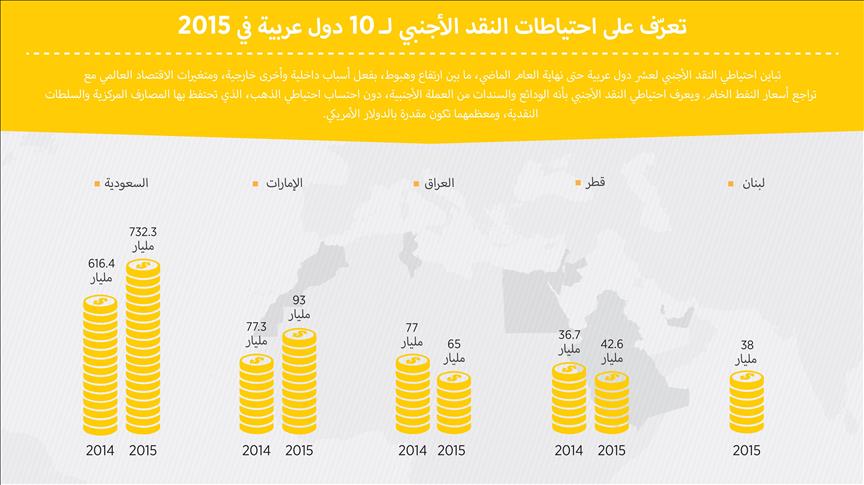 نظرة على احتياطات النقد الأجنبي لـ 10 دول عربية في 2015