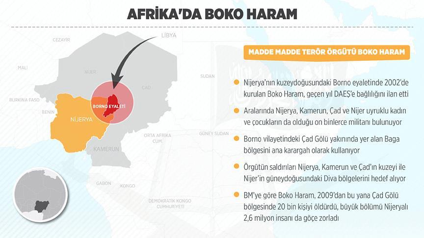 Afrika'da Boko Haram: 7 yılda 20 bin ölüm