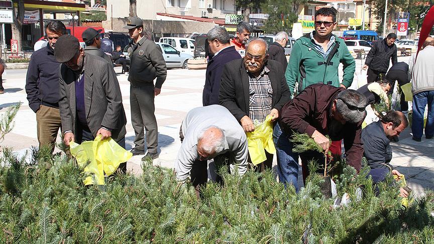 4 bin 500 fidan 1 saatte dağıtıldı