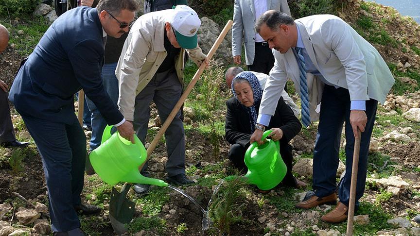 Şehit Piyade Yüzbaşı Çiğa adına hatıra ormanı oluşturuldu