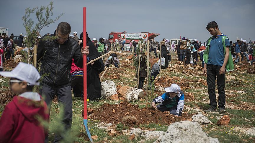 İHH'dan yetimler için hatıra ormanı