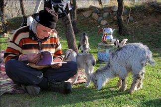 63 yaşındaki 'Üniversiteli çoban'ın okuma azmi 