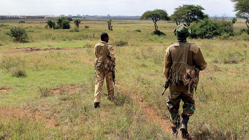 Kamboçya aslanının nesli aşırı avlanma nedeniyle tükendi