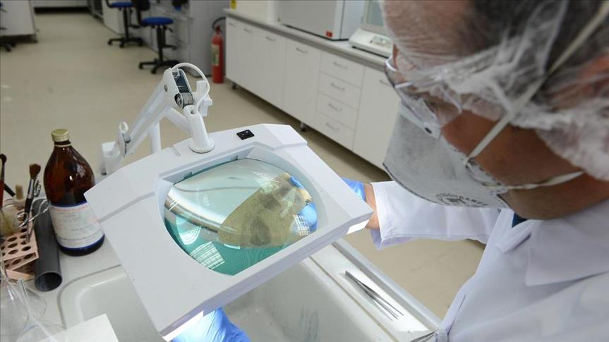 Immunotherapy touted for fighting cancer