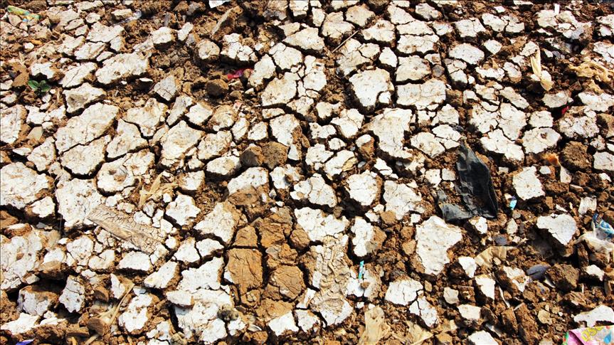 Thailand facing its worst drought in 20 years 