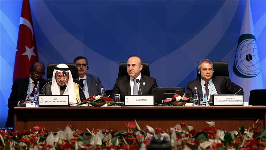 Islamic world must stand against terror: Turkish FM