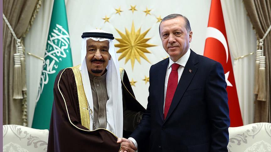رئیس جمهور ترکیه و پادشاه عربستان در مورد مسائل منطقه‌ای تبادل نظر کردند
