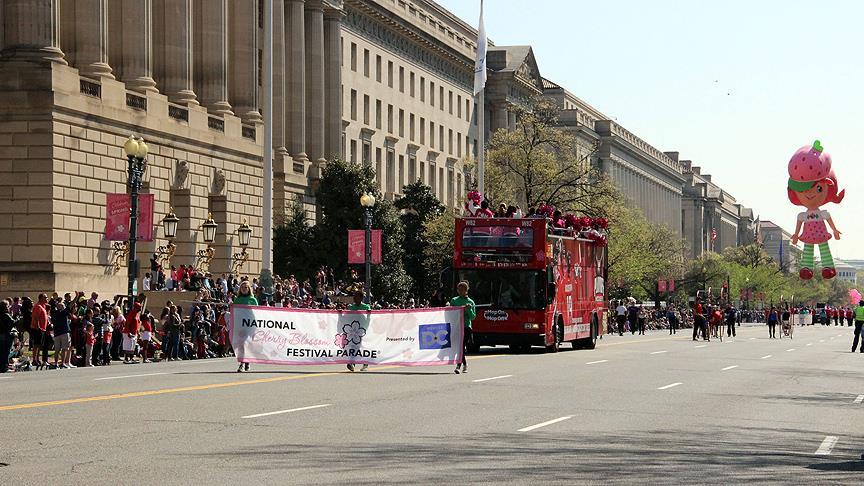 Washington'da 'Ulusal Kiraz Çiçeği Festivali'