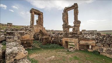 'Güneydoğu'nun Efes'i keşfedilmeyi bekliyor