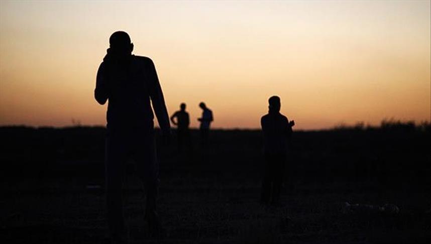 US: Number of Daesh fighters lowest since 2014