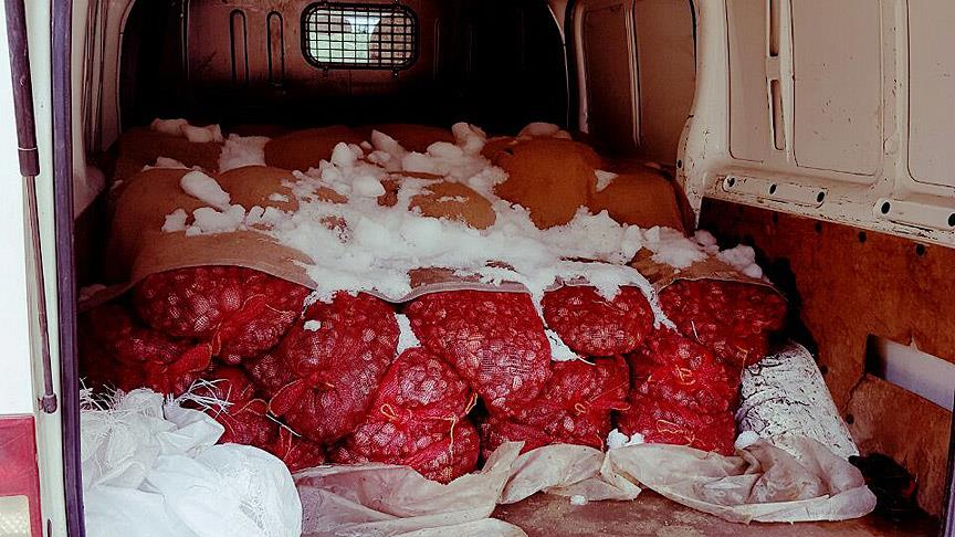Edirne'de 1 ton 825 kilogram canlı midye ele geçirildi