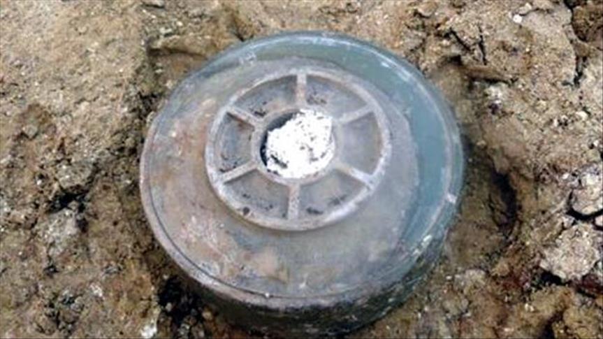 Most Daesh landmines are handmade: KRG official