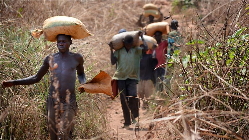 Zambia faces up to blight of child labor